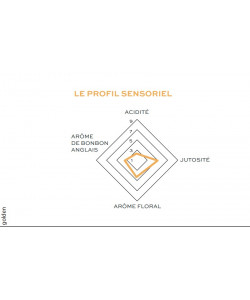 pomme croquante et juteuse, parfait à croquer et à patisser