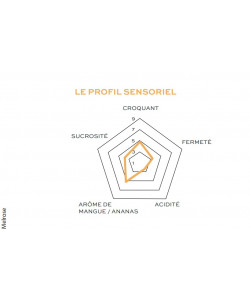 Pomme des Côteaux Nantais, douce, juteuse et tendre, parfait à croquer.
