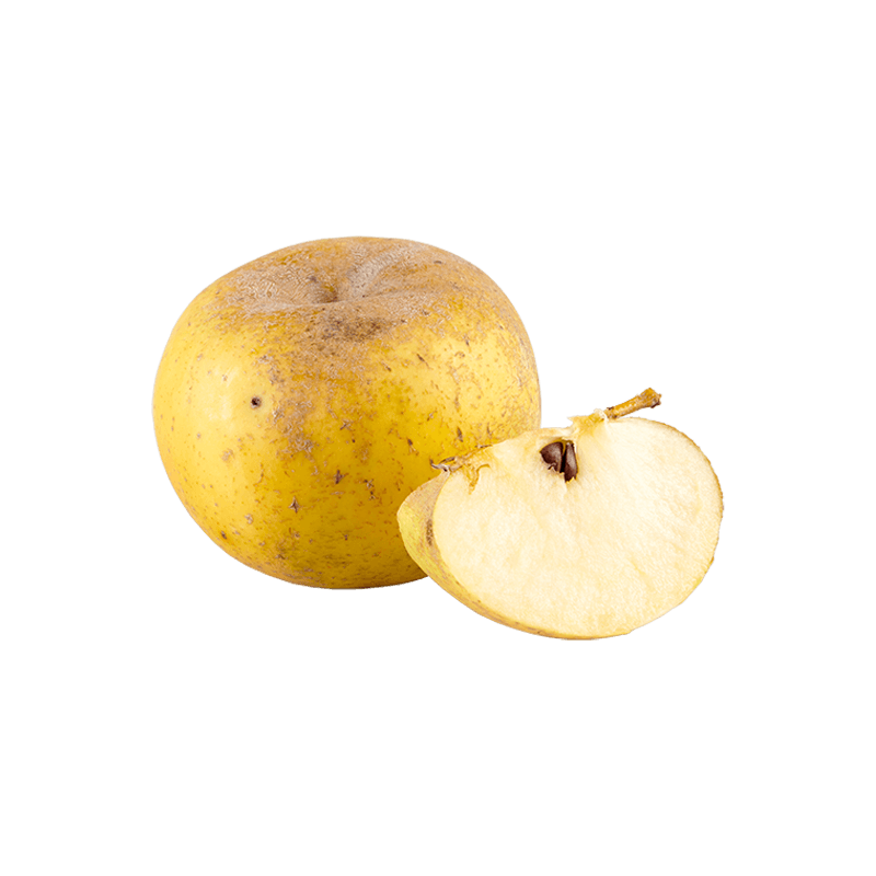 Pommes Reinette Clochard Bio Demeter  des Côteaux Nantais, producteurs et transformateurs de fruits dans la région nantaise.