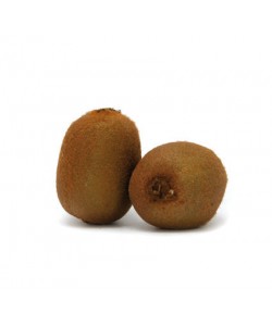 Kiwi Hayward Bio Demeter des Côteaux Nantais, producteurs et transformateurs de fruits dans la région nantaise.