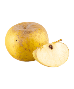 Pommes Reinette Clochard Bio Demeter  des Côteaux Nantais, producteurs et transformateurs de fruits dans la région nantaise.