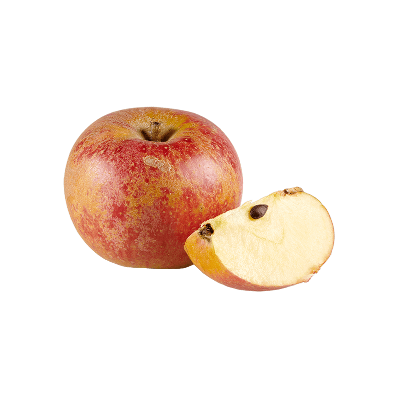 Pommes Suntan Bio Demeter