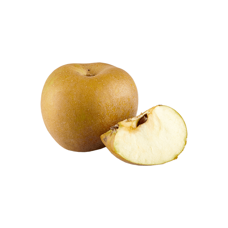 Pommes Reinette Grise du Canada Bio Demeter, douce, sucrée et tendre, parfait à croquer, à cuisiner et à patisser.