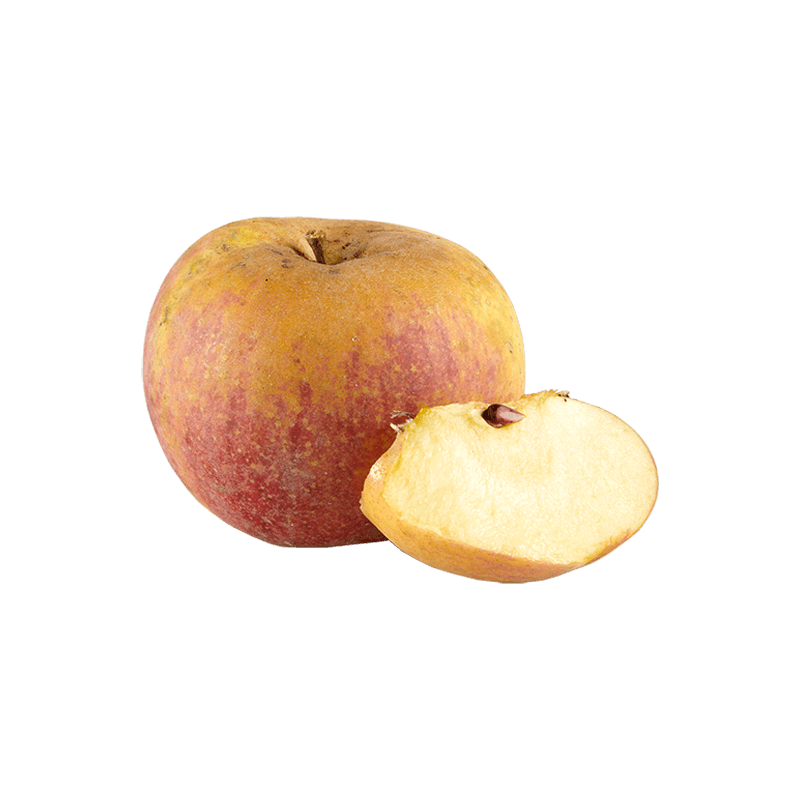 Pommes Reinette des Côteaux Bio Demeter