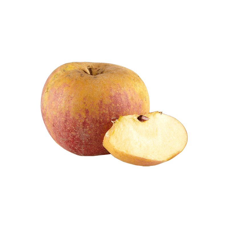 Pommes Reinette des Côteaux Bio Demeter, acidulée, croquante, juteuse et sucrée, parfait à croquer, à cuisiner et à patisser. Pommes Reinette des Côteaux Bio Demeter, acidulée, croquante, juteuse et sucrée, parfait à croquer, à cuisiner et à patisser.