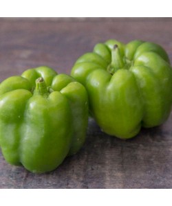 poivrons vert des Côteaux Nantais