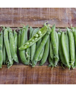 petits pois de chez Côteaux nantais