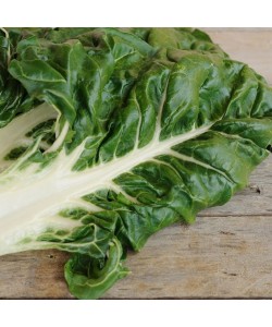 COTE DE BETTE VERTE A...