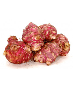 Topinambour