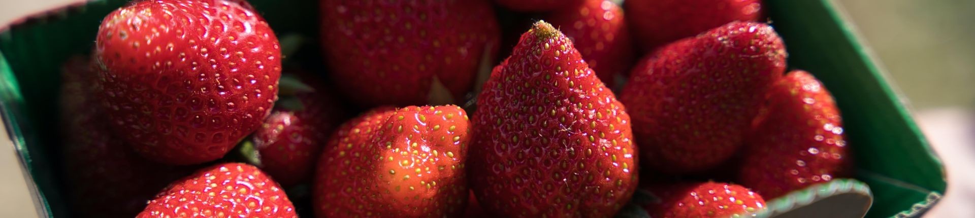 Fraises BIO DEMETER - Côteaux Nantais